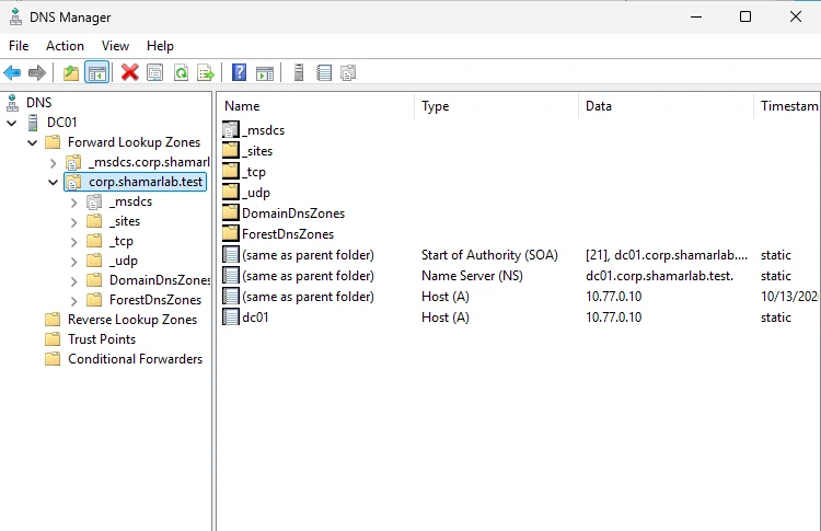 DNS Manager showing the corp.shamarlab.test forward lookup zone with AD service folders and host records